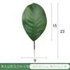 Hojas de Magnolia, Hojas para Arreglos Florales Artificiales, Accesorios de Hojas de Cartón para Tarjetas de Boda Transfronterizas, Flores de Tela con Adhesivo