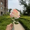 Rosa de Tallo Único con Borde Quemado para Decoración de Salón de Bodas, Flor Artificial de Alta Gama para Pared de Flores, Decoración del Hogar, Ambiente de Restaurante