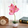 Flor Artificial Maceta Redonda Pequeña con Tres Flores, Bonsái Orquídea Mariposa, Suministro Directo del Fabricante, Decoración con Flores Artificiales, Planta Verde, Planta Artificial en Maceta