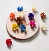 Casca de fruta faça você mesmo, pinha, lascas de madeira, folhas, flores secas, combinação de frutas secas, decoração de natal, decoração de jardim de infância, adereços retrô