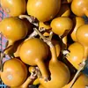 Calabazas Suaves Bellamente Elaboradas para Manipular y Coleccionar, Calabazas de Piel Morada con Pátina, Calabazas Retorcidas a Mano, Artículos de Mano, Calabazas para Vendedores Ambulantes al por Mayor