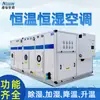 Unidad de Aire Acondicionado Integrada de Temperatura y Humedad Constantes Química y Farmacéutica Personalizada de Guangdong Nuoxin Unidad de Aire Acondicionado Industrial de Purificación Combinada