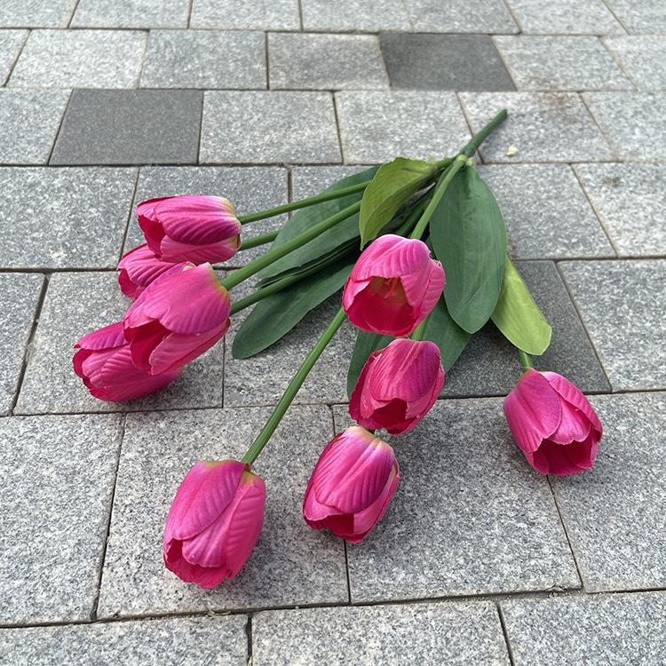 9头大把束郁金香-绽放大号-exlbx-深紫.JPG