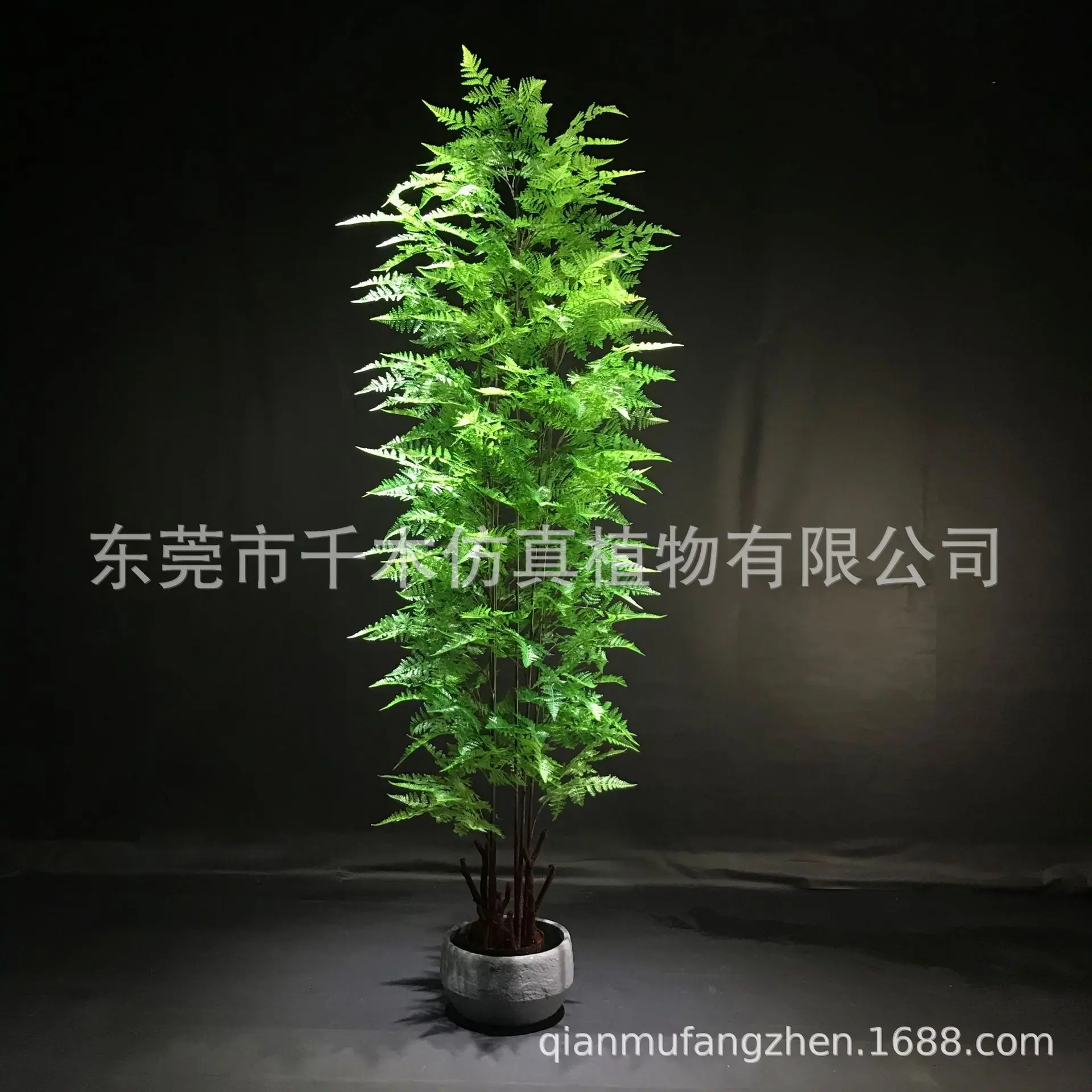 微信图片_202012042043191