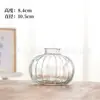 Vaso Mini Escandinavo Simple y Creativo Estilo Ins Dispositivo de Flor Hidropónica de Vidrio Decoración de Escritorio de Sala de Estar Pequeños Adornos