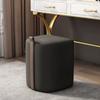 Taburete de Maquillaje Reposapiés Taburete para Cambiar Zapatos Estilo Lujo Ligero Moderno Sencillo Taburete de Tocador Silla de Maquillaje para Dormitorio del Hogar Taburete de Mesa de Café Popular en Internet