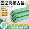 Estructura de soporte para trepar enrejado de uvas para exteriores enrejado de rosas para jardín estante de verduras para patio estante de trepar para frijoles pepinos