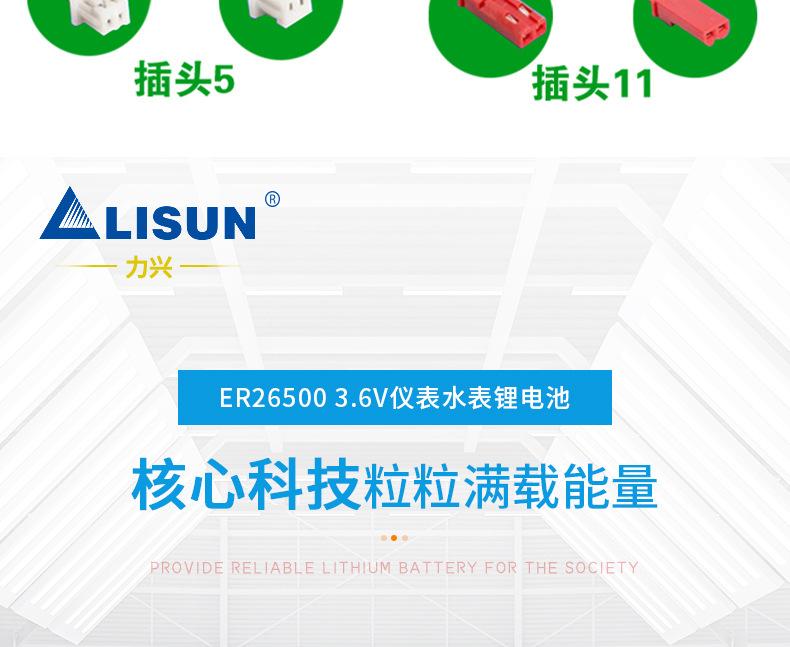 ER26500_14.jpg