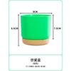 Resina Plástico Ecológico Vaso Pequeno para Flores Vaso Preguiçoso Automático Absorvente de Água Armazenamento de Água Redondo Camada Dupla Suculenta Pothos Planta Verde Vaso de Flores