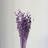 Flor seca rica feijão apaixonado feijão eterno flor fábrica atacado vermelho dourado feijão vermelho linho feijão carambola buquê