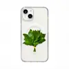 Má Sorte Vai Embora, Folhas de Toranja São Adequadas para Capa de Celular Magnética Apple 18Promax, iPhone17 Transparente 16 Capa Rígida