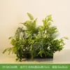 Decoración Navideña Grande Hy-Dk12 con Plantas Verdes Simuladas para Ambiente de Fachada de Tienda y Fondo para Fotos
