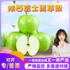[Seleção Premium] Maçãs Verdes de Shaanxi Atacado Maçãs Crocantes Doces e Azedas Sazonal Caixa Fechada Fruta Fresca para Grávidas