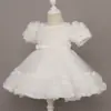 Vestido de Princesa para Niña, Vestido de Cumpleaños para Niña, Vestido Tutú de Flor de Rosa, Vestido de Presentación para el Primer Cumpleaños de Bebé, Venta al por Mayor