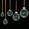 Novas Bolas Transparentes de Natal para Animais de Estimação de Comércio Exterior, Bolas de Plástico para Decoração de Natal, Pingentes de Decoração DIY para Árvore de Natal Venda por Atacado
