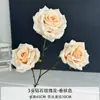 Flores Artificiales Color Champán para Bodas al Aire Libre, Decoraciones de Fondo de Boda, Adornos para Sala de Estar en Casa, de Alta Gama y Realistas