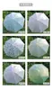 Guarda-chuva Transparente, Guarda-chuva de Chuva Transparente, Cabo Reto, Cabo Longo, Branco Transparente, Guarda-chuva de 8 Varetas, Guarda-chuva Fosco, Guarda-chuva com Logo Personalizado