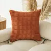 Fronha de Pelúcia Cor Sólida Lado Duplo Fronha de Veludo com Textura de Grão de Trigo Capa de Almofada para Decoração de Sala de Estar Sofá Cama