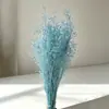 Ventas directas de fábrica de Yunnan de flores secas de hierba estrella azul eterna para decoración de bodas, decoración suave, accesorios para arreglos florales, kits de materiales DIY, venta al por mayor transfronteriza