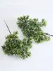 Pino Ciprés Luohan Real Tu Shan Xian Bai Árbol Falso Hojas de Plástico Pino de Bienvenida Materiales Ramas de Ciprés de Acantilado Fábrica de Bonsáis