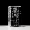 Cristal Laser Escultura Interna Osso Humano Coração Cérebro Fígado Vesícula Biliar Nariz Dente Órgão Modelo Estéreo Ornamento de Mesa
