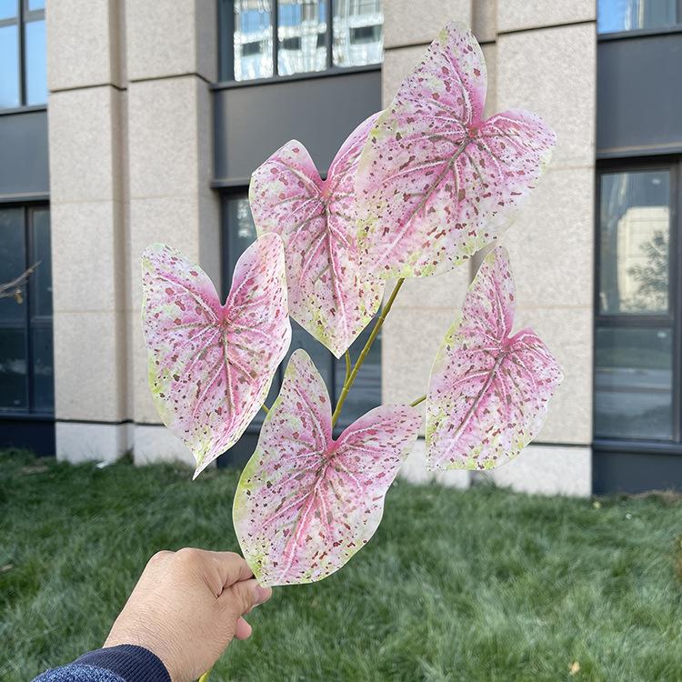 5叉彩色芋叶-7色系 深红斑粉绿.JPG