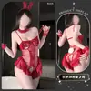 Lencería Sexy con Entrepierna Abierta para Mujeres Jóvenes, Ajustado Disfraz de Conejita de Encaje, Sexy y Atractivo