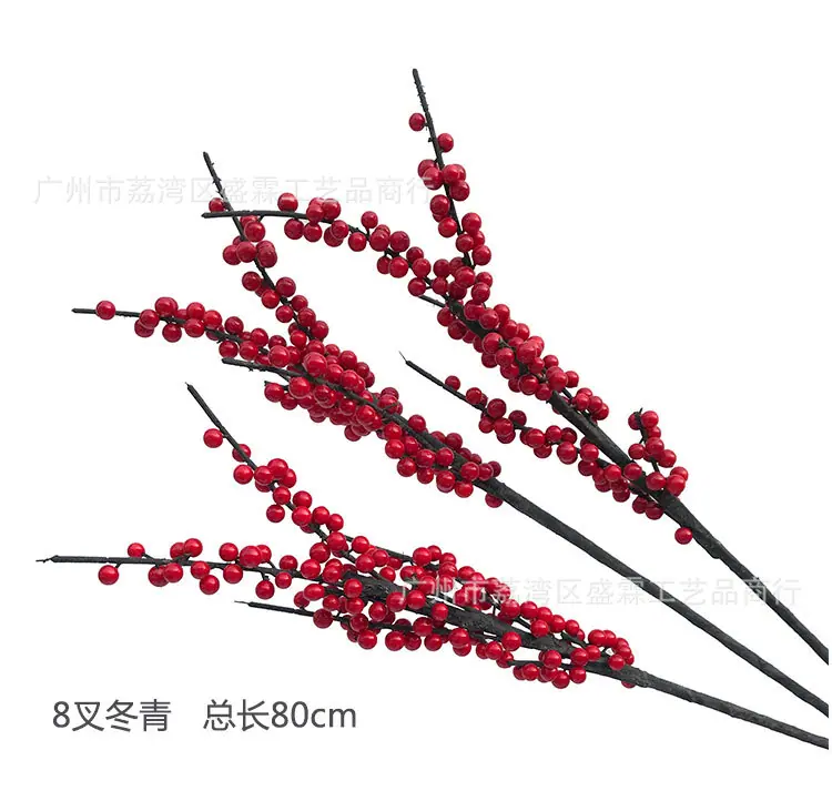红果-(1)_12.jpg