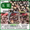 Fruta Longxiang Fruta Original Fragante Fruta Flor Pequeña Fruta Jade Cocina de Sichuan Estofado Estofado Marinada Sazonador Especias Polvo Molible Fruta de Nuez Moscada