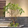 Plantas Verdes Artificiales Leucothoe Paisajismo de Interiores Hotel Escaparate de Tienda Paisajismo Escaleras de Villa Bajo Porche Árbol Artificial Decoración