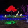 Árvore de Luz Artificial LED de Folha de Bordo e Flor de Cerejeira Colorida Árvore Brilhante à Prova d'Água para Exterior Projeto de Iluminação de Pátio Luz Decorativa de Flor de Ameixeira
