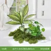Plantas Verdes Artificiais Atacado Paisagismo Interno Plantas Falsas de Alto Padrão Decoração de Paisagem Aglomerados de Musgo Flores Biônicas Decoração Suave Luz