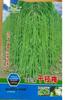 Shengmei 901 Semillas de Frijol al por Mayor de Maduración Temprana, Vainas Gruesas, Vainas Verdes Tiernas, Semillas de Verdura de Caupí Largo en Tierras de Cultivo y Huertos