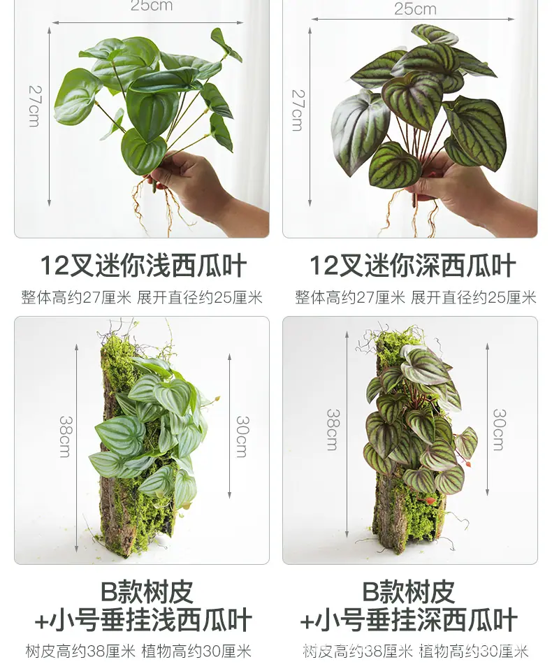 垂吊造景叶子_06.jpg
