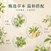 Ungüento herbal genuino Jingcaoyijian, disponible para venta al por mayor, crema universal para todo el cuerpo, entrega directa del fabricante
