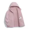 Casaco de Algodão Grosso com Forro de Lã para Mulheres, Estilo Curto, Novo Outono e Inverno, Com Capuz, Quente, Solto, Tamanho Grande, Jaqueta de Lã e Algodão