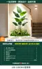 Decoración de Combinación de Paisaje de Plantas Verdes Plantas Artificiales Arreglo de Exhibición de Ventana de Patio Paisaje Interior Árbol de Atmósfera