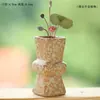 Vaso de Beleza de Grés Chinês Zen Retrô Escritório Arranjo de Flores Hidropônico Cerâmica Interior Desktop Enfeites Recipiente para Flores