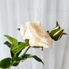 Ramo de rosas de plástico para boda, estilo europeo, 2 rosas aromáticas, simulación de rosas, estilo europeo, flores de seda, capullo de rosa para boda.