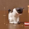 Paisagem em Micro Criativa Desenho Animado Gatinho Fofo Simulação Animal Boneca Decoração Artesanal Acessórios Pequenos Ornamentos de Mesa