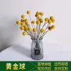 Bola Dourada Flores Secas Ins Naturais Buquê de Flores Reais Decoração de Casa Display Adereços para Fotografia DIY Buquê de Flores Secas