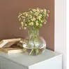 Jarrón de Vidrio Transparente de Boca Pequeña Simple Mesa de Café Escritorio Decoración del Hogar Flores Flores Secas Hidropónico Redondo Jarrón Decorativo