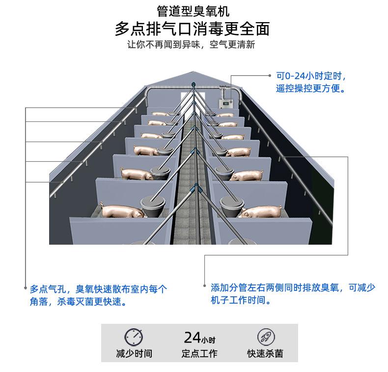 QLC55_06.jpg