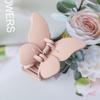 Presilha de Borboleta com Brilho Fosco Estilo Fairy Girly, Presilha Elegante de Cabelo Trançado, Presilha Fofa e Doce Estilo Ins
