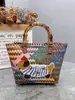 Bolso Nuevo Tejido a Mano de Dachshund Bolso de Mano para Mujer Bolso Tote para Viajes Cesta de Regalo