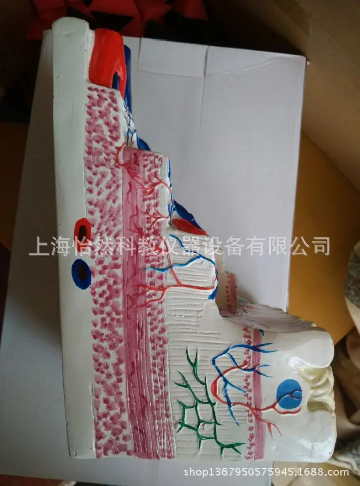 QQ图片20150426101913