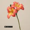 Buquê de flor de clívia artificial de haste única e duas cabeças para decoração de cena, orquídea de alta qualidade para uso em casamentos, flores artificiais