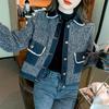 Jaqueta Jeans Pequena Curta de Veludo para Mulheres Inverno 2023 Novo Design de Estilo Nicho Top Feminino da Moda