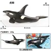 Modelos Realistas de Animales Marinos Transfronterizos: Tiburón Azul, Megalodón, Tiburón Ballena Gris, Tiburón Blanco, Tiburones Martillo Juguetes