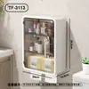 Portarrollos de papel higiénico para baño, caja de pañuelos de papel para inodoro montada en la pared, portarrollos, estante especial para almacenamiento de toallas sanitarias montado en el lateral del inodoro